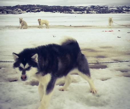 Iqaluit : des souvenirs plein la tête