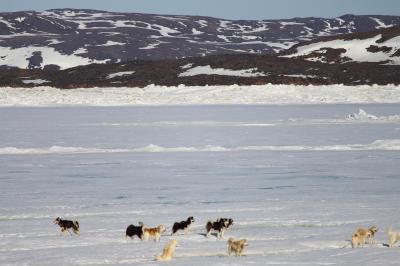 Programme printanier à Iqaluit! _7