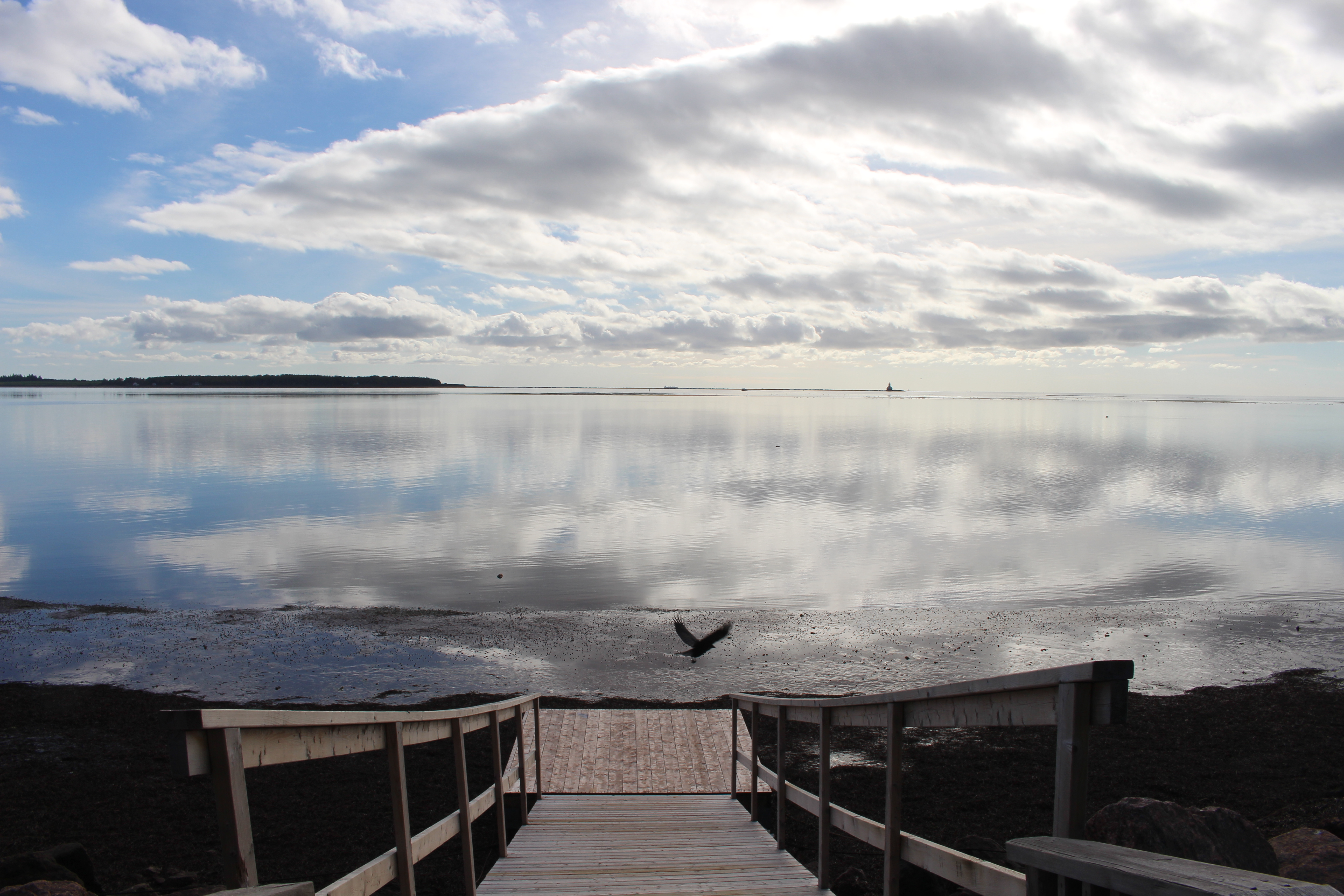 Une première étape réussie!_3