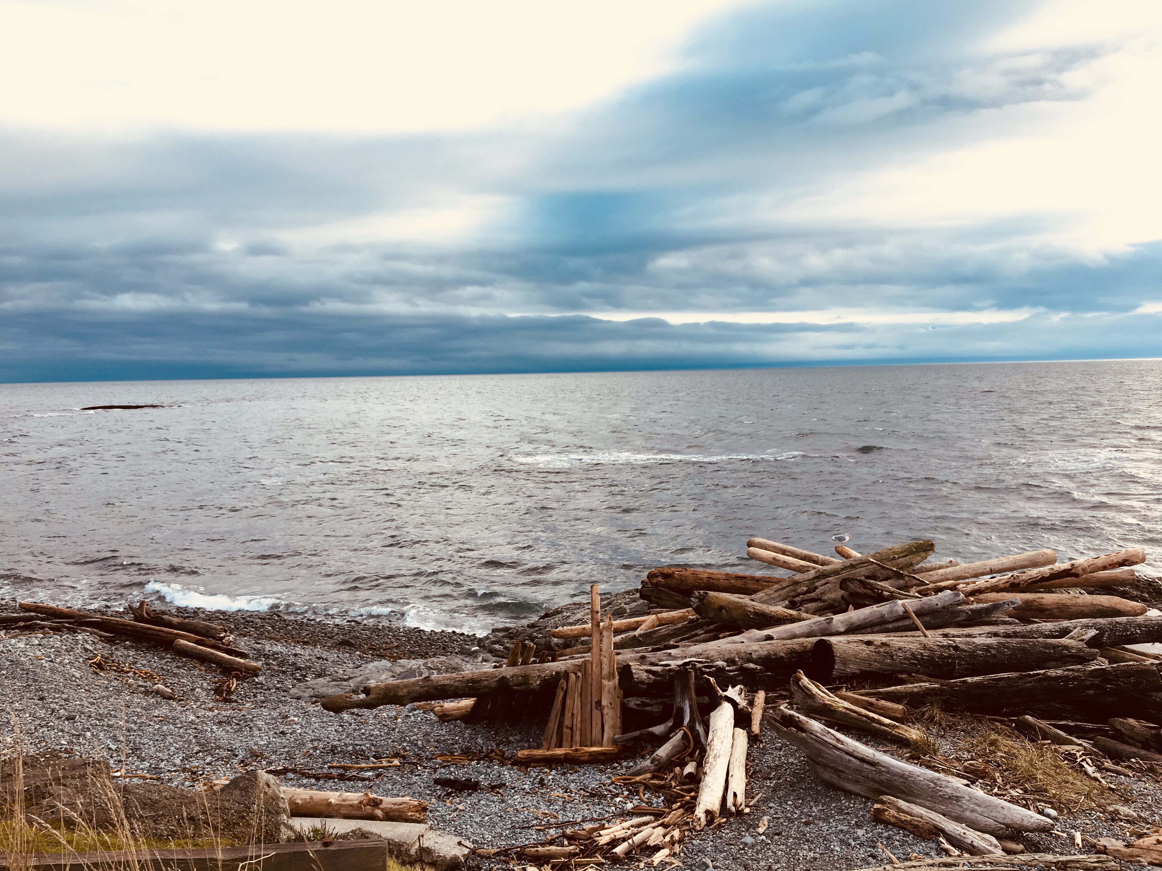 Belles rencontres entre les artistes d'ici et les cinéphiles de l'ouest! 2018_28