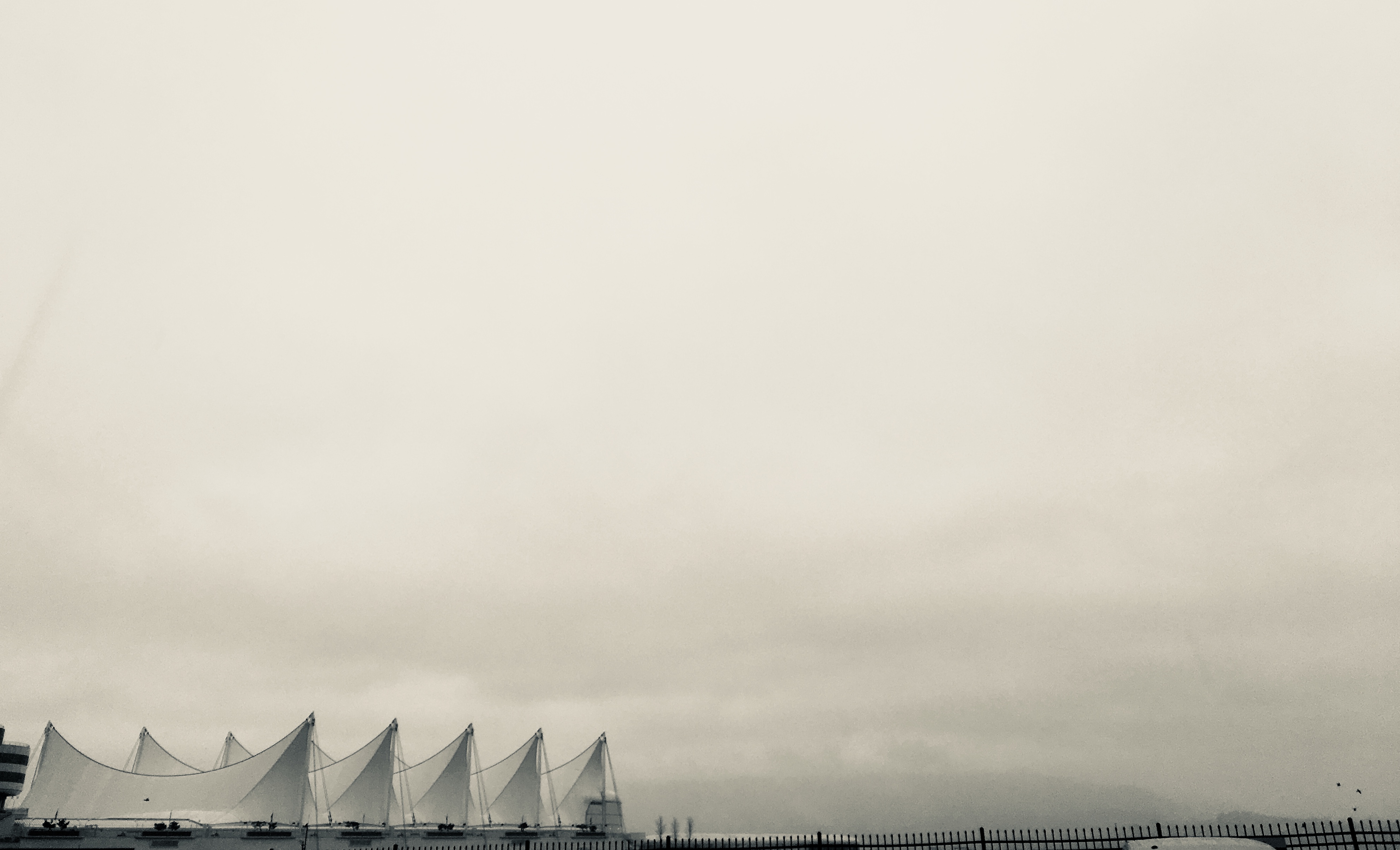 Belles rencontres entre les artistes d'ici et les cinéphiles de l'ouest! 2018_29