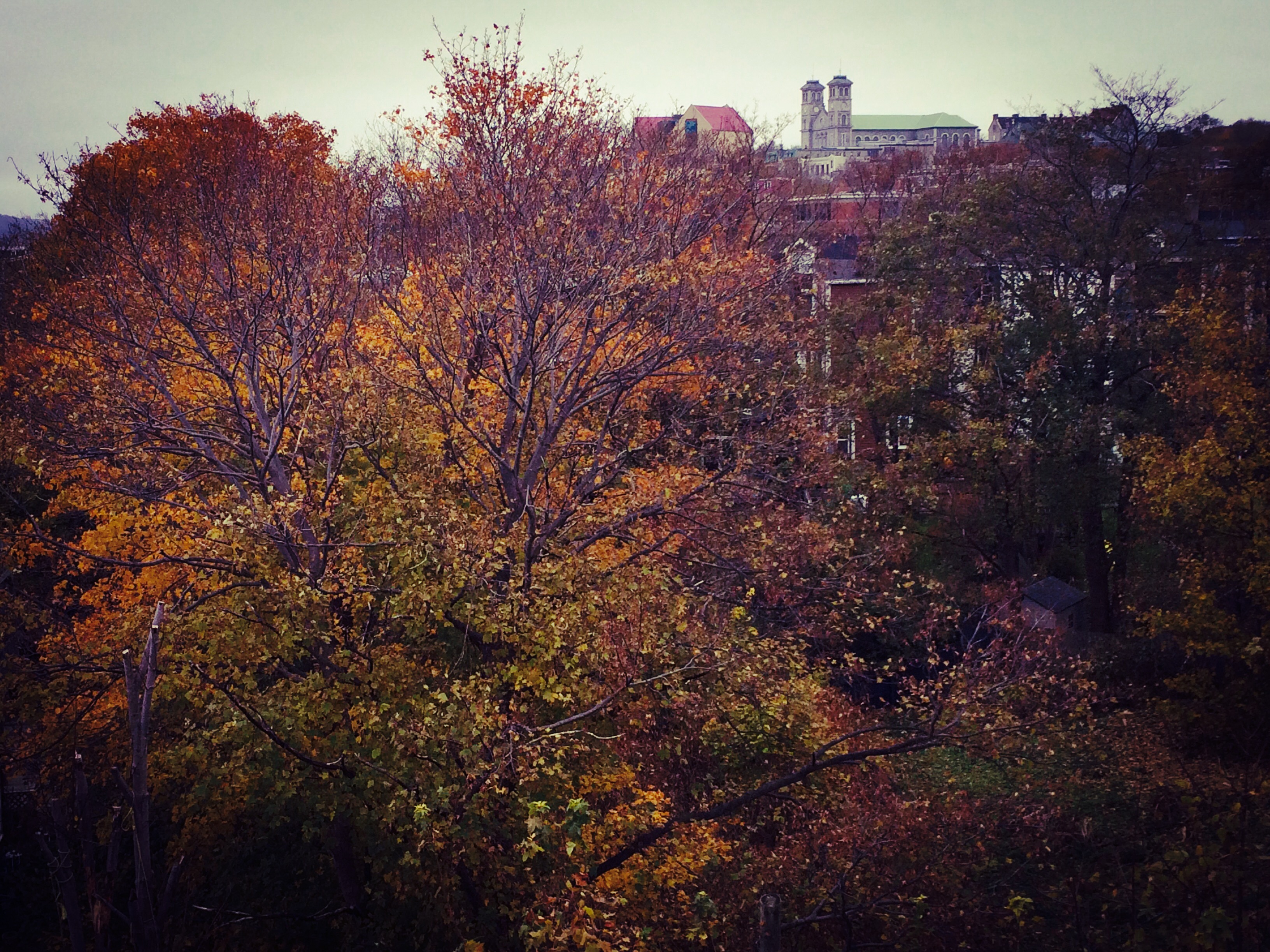La Tournée a le vent dans les voiles à Terre-Neuve_3