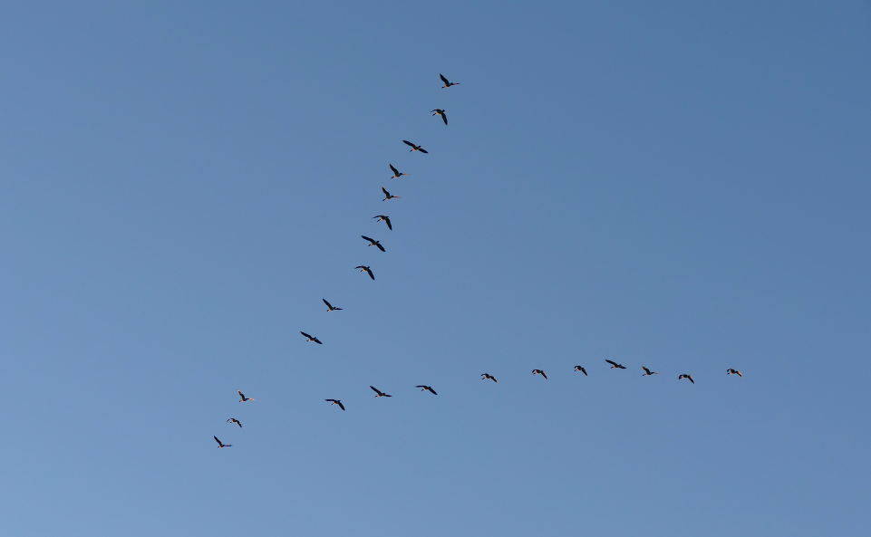 Des moments forts pour la Tournée à Orléans!_6