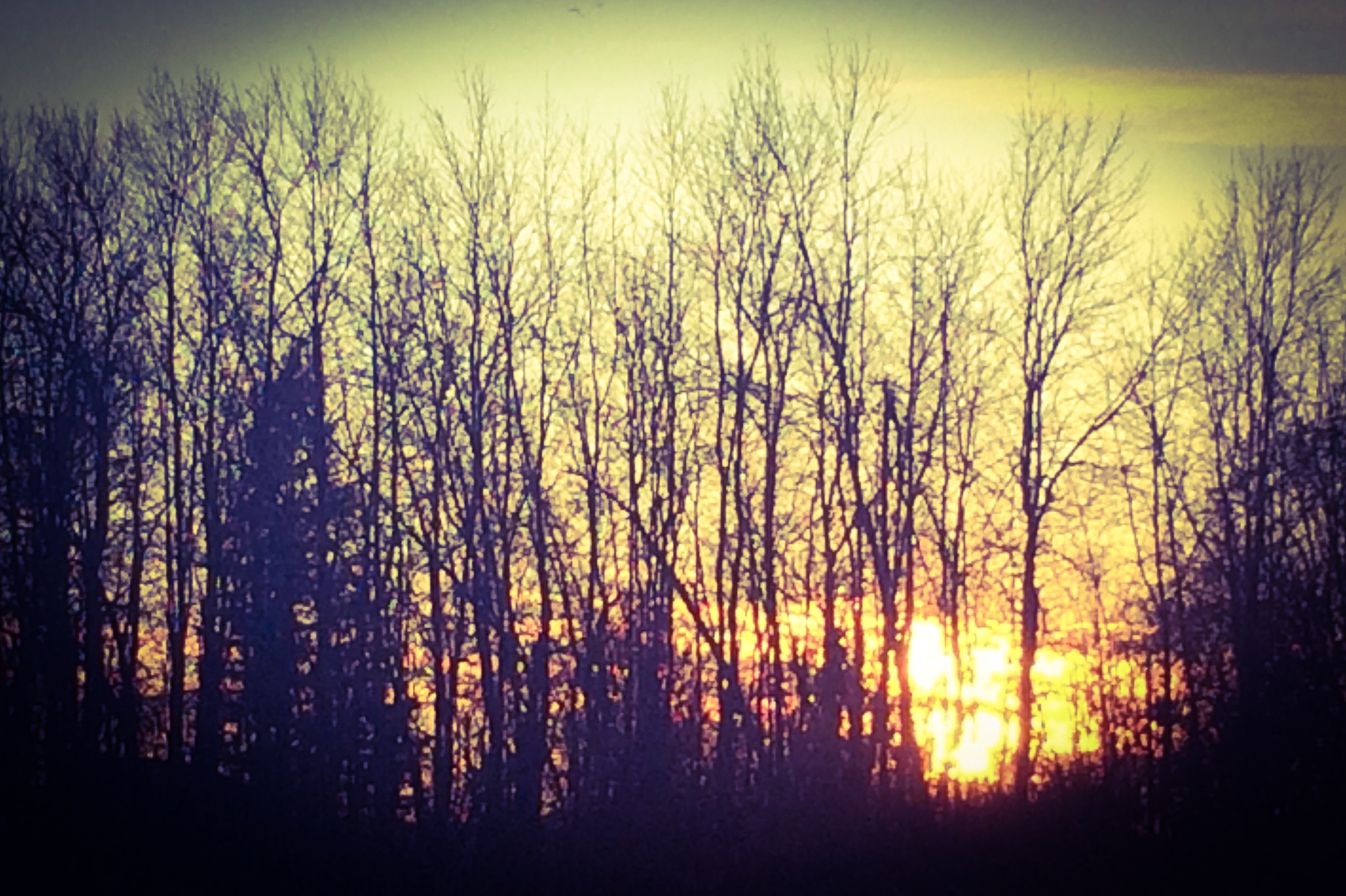 Des moments forts pour la Tournée à Orléans!_7