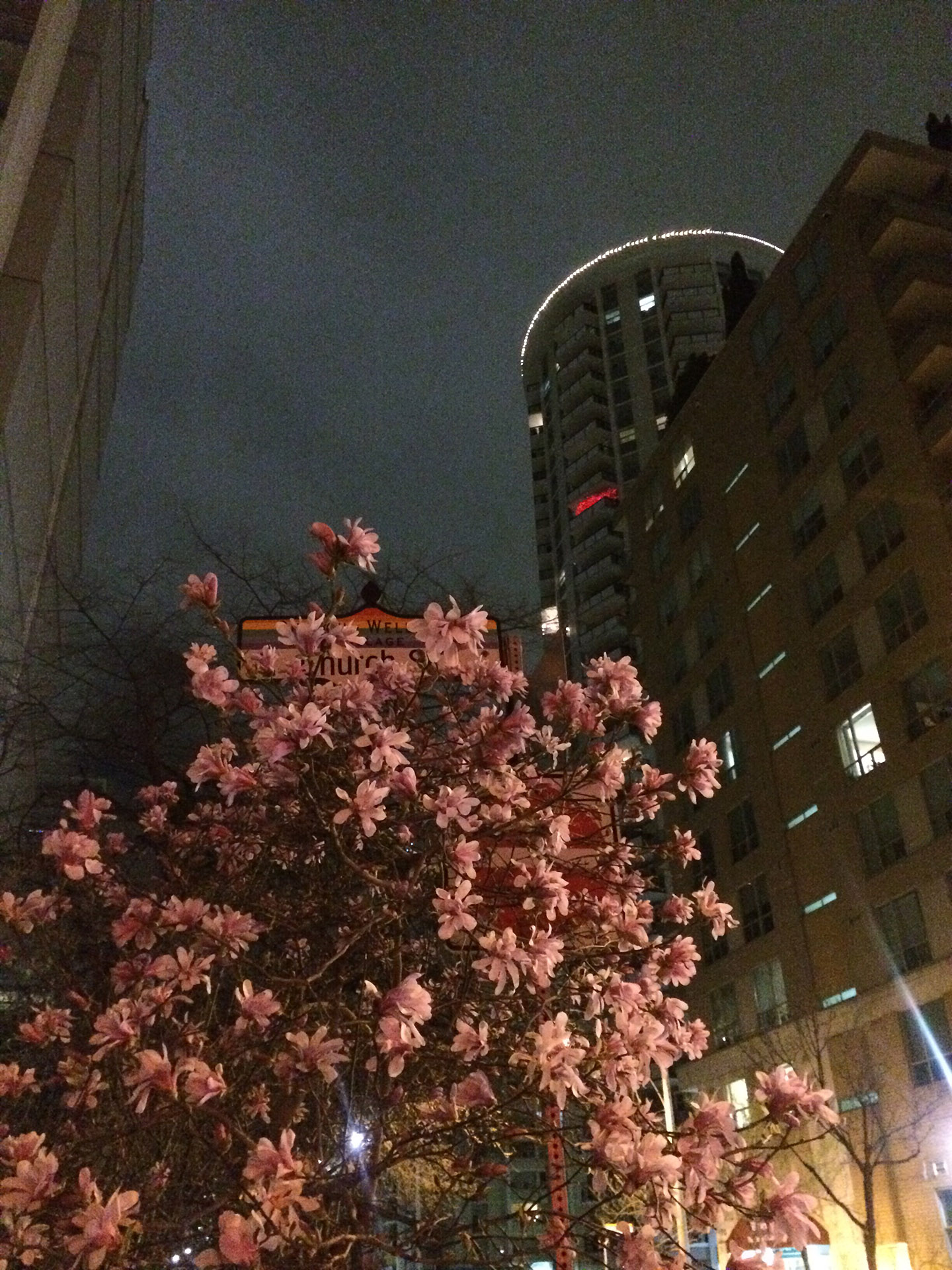 Un passage mémorable à Toronto !_18