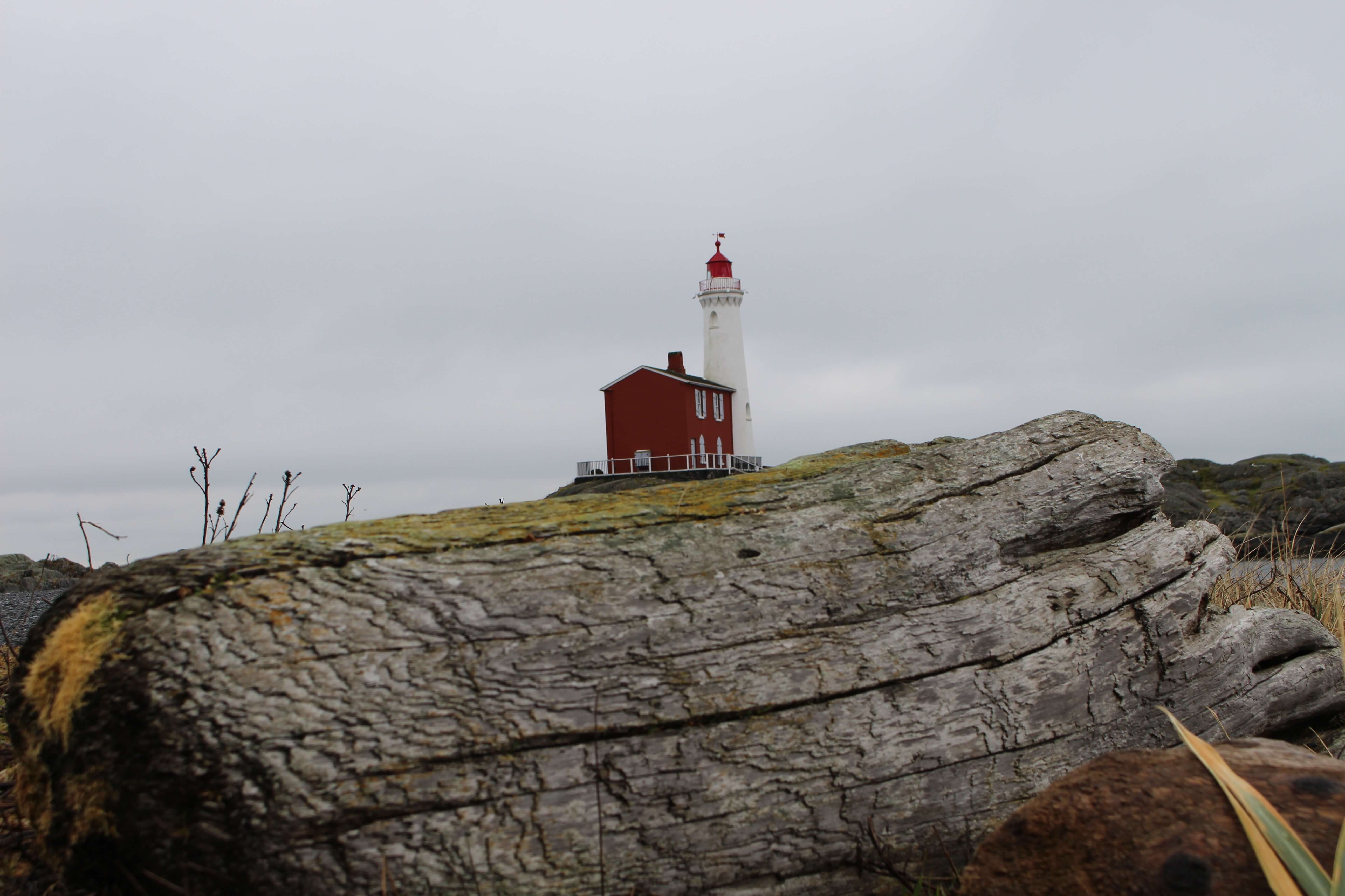 La Tournée s'arrête à Victoria et célèbre la 23<sup>e</sup> édition du Victoria Film Festival !_6
