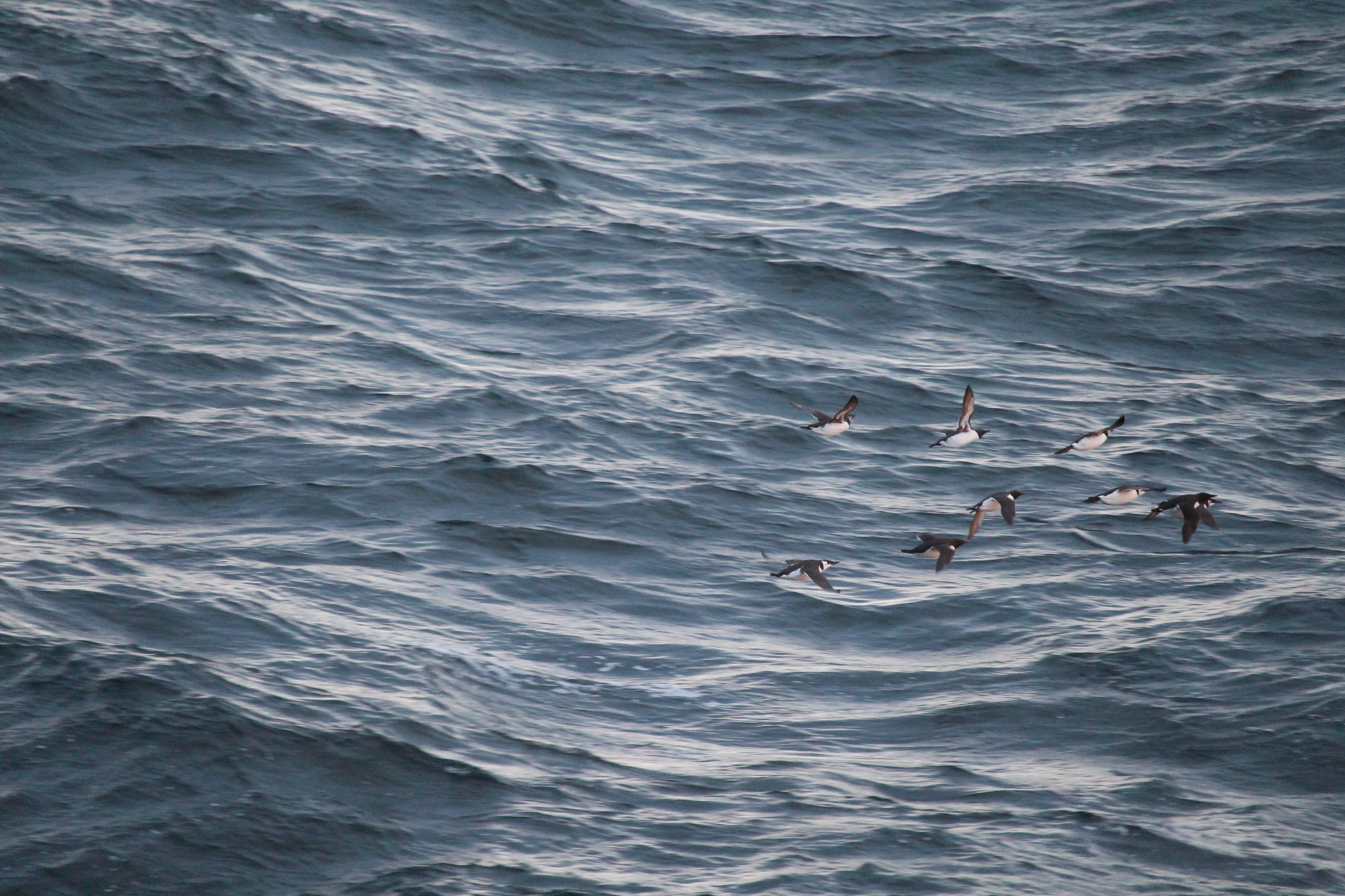 La Tournée s'arrête à Victoria et célèbre la 23<sup>e</sup> édition du Victoria Film Festival !_17