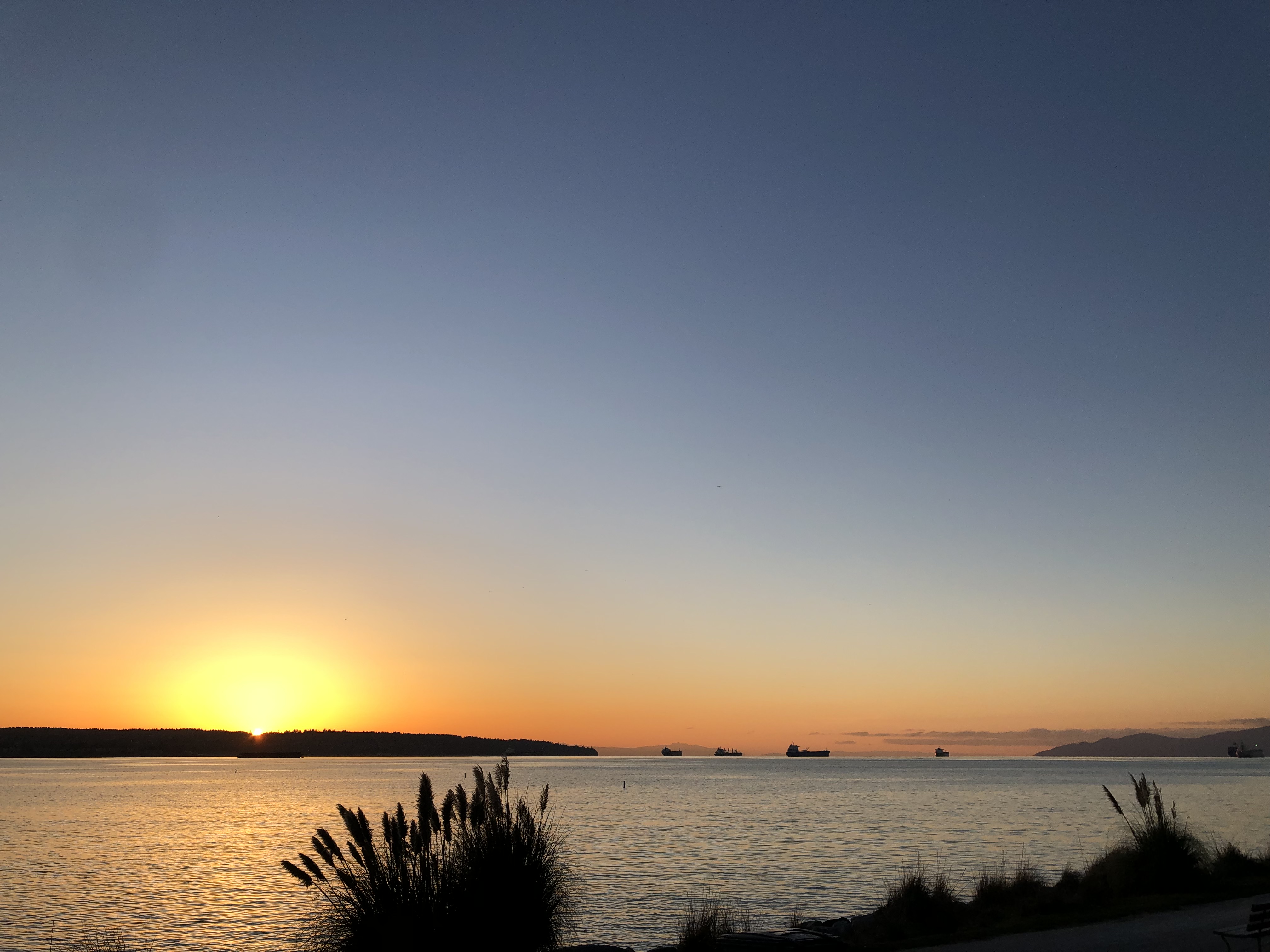 La Tournée Québec Cinéma fait salle comble en Colombie-Britannique!_10