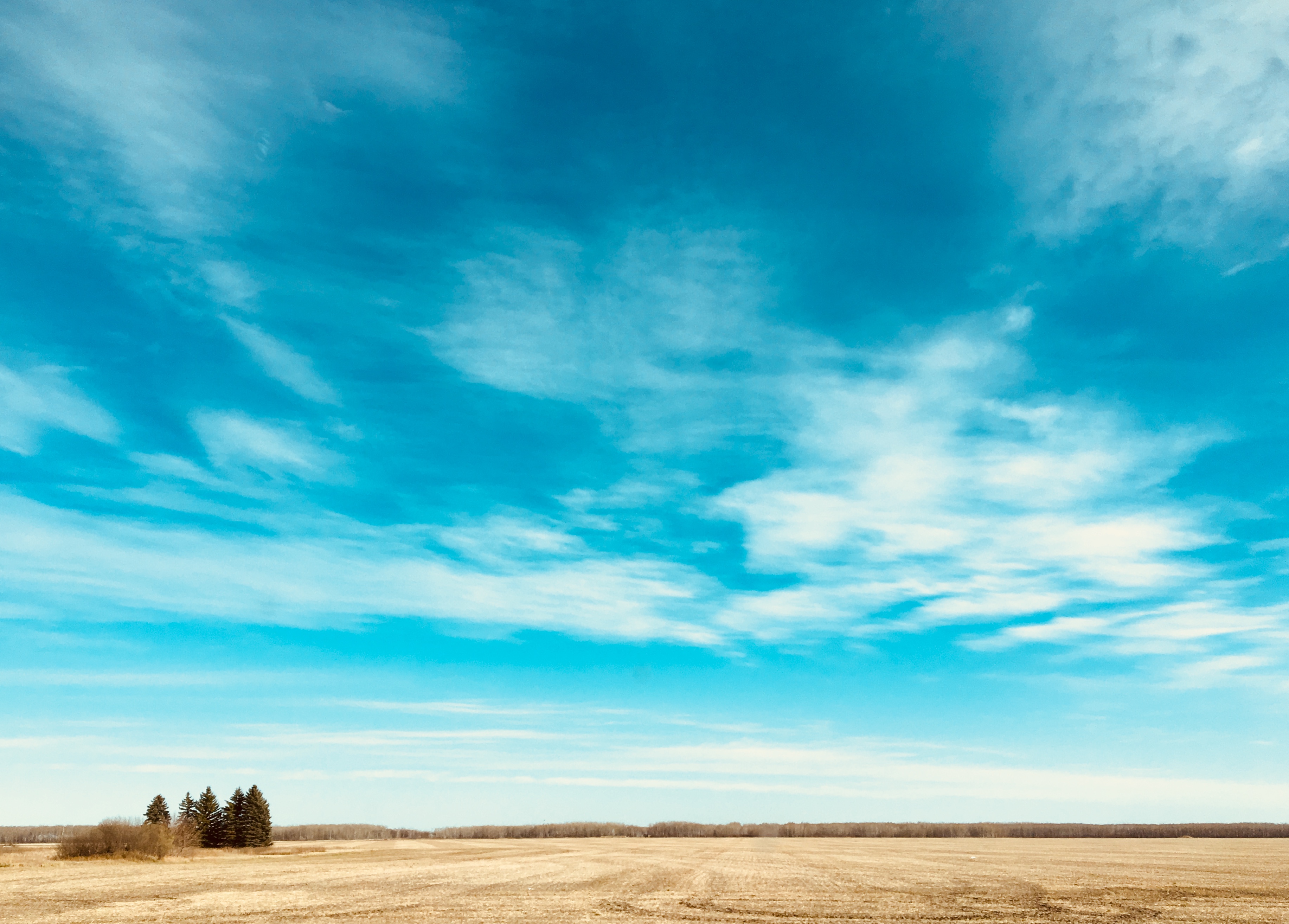 Retour en force pour la Tournée à Winnipeg !_18